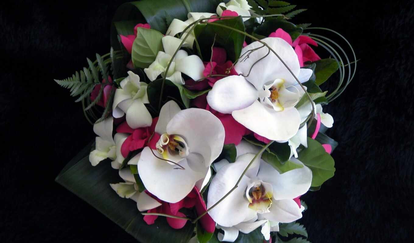 flowers, white, pink, petal, orchid, bouquet, decoration