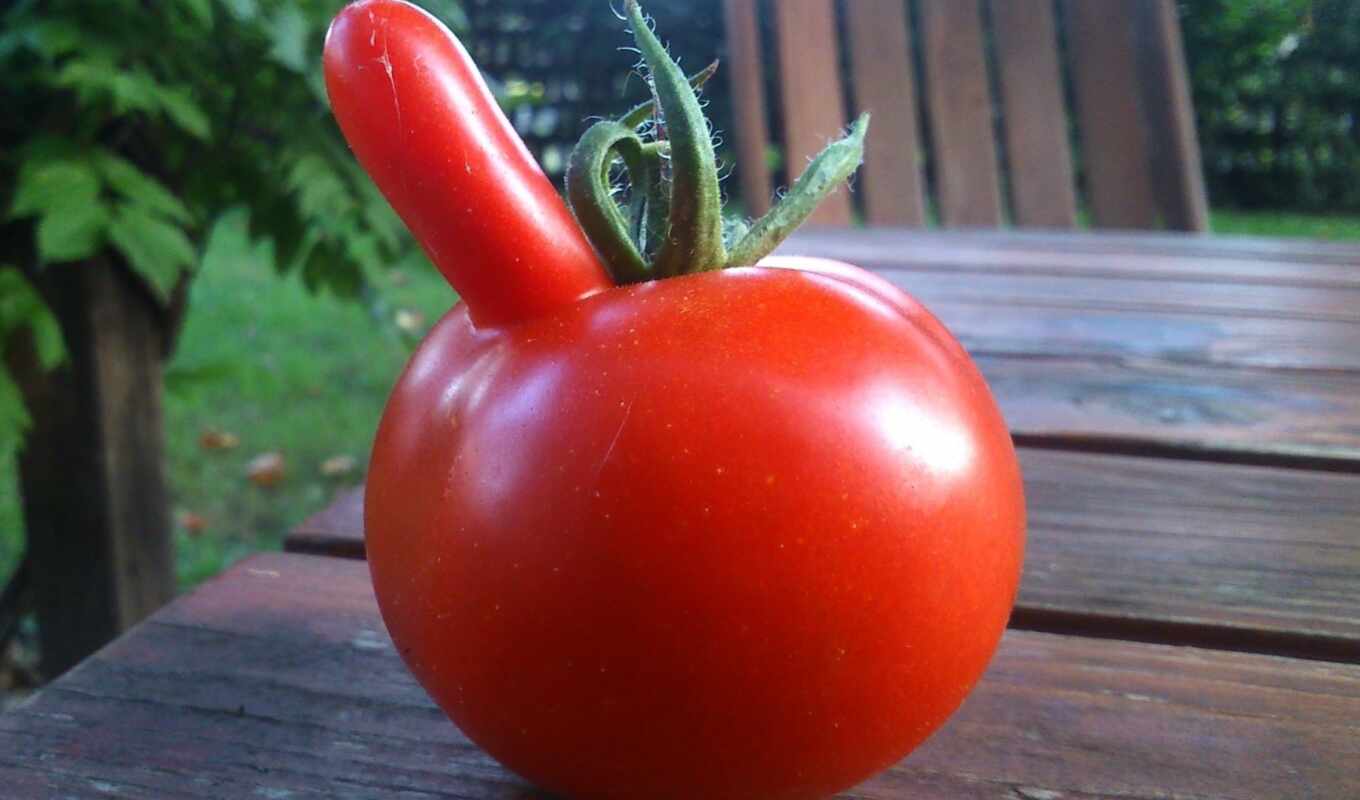 еда, red, растительный, tomato