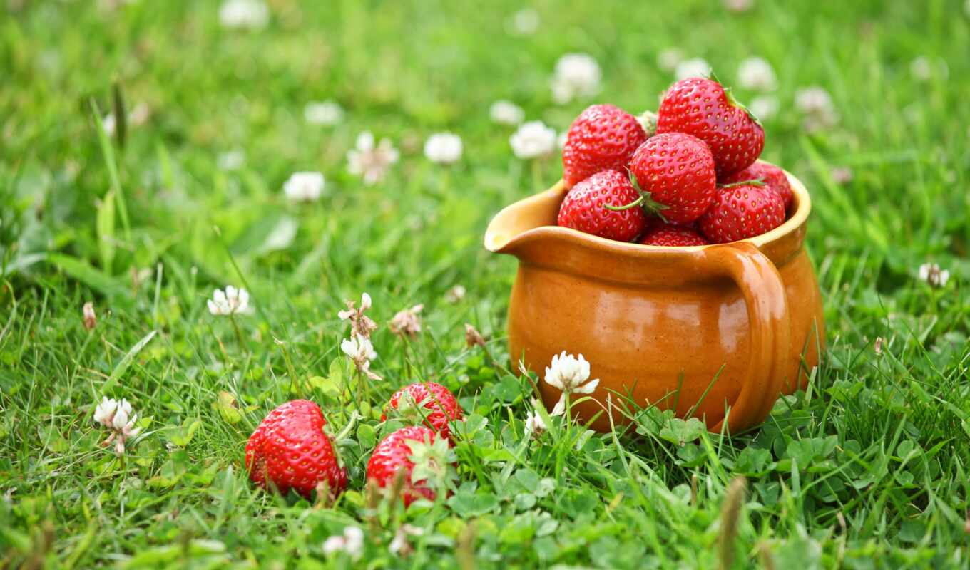 strawberry, besplatnooboi