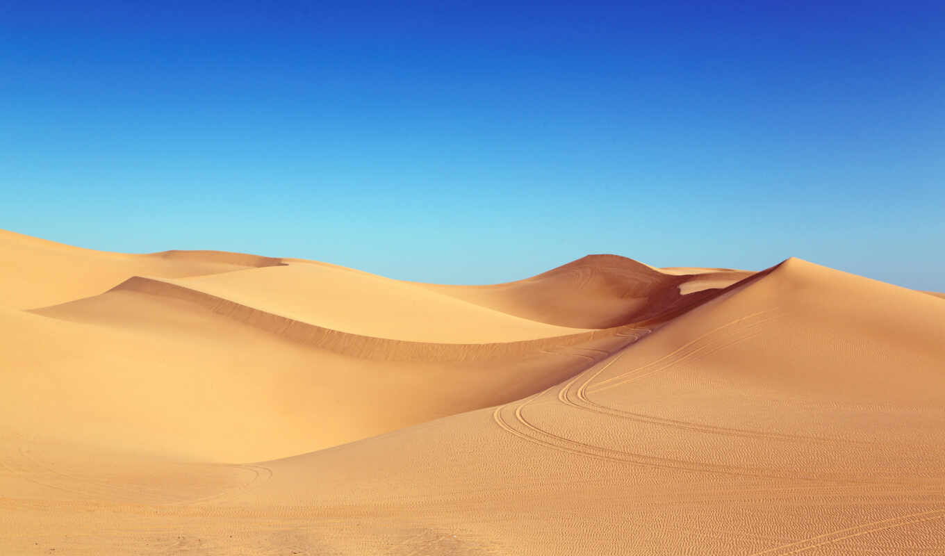 free, песок, пустыня, dunes, dune, альгодон