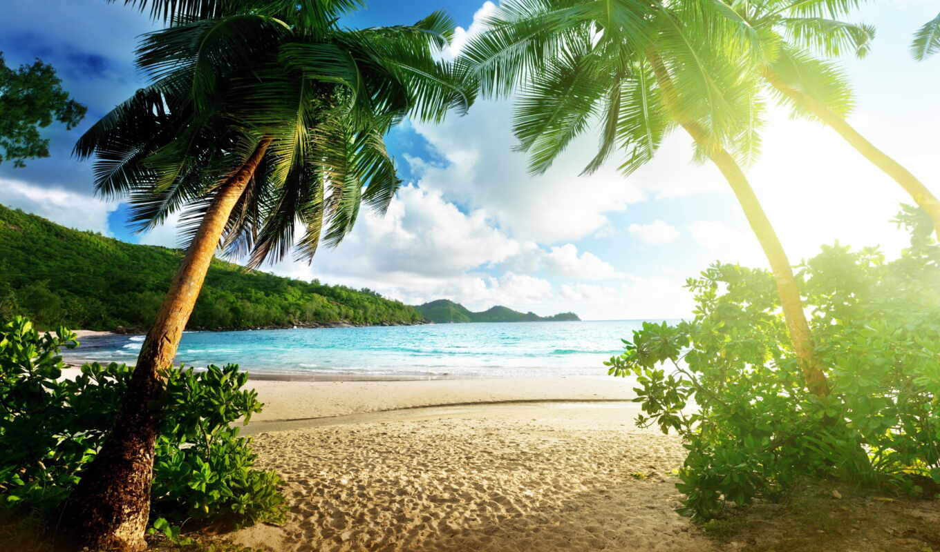 free, online, пляж, море, моря, пляжи, хорошем, thai, фотообои