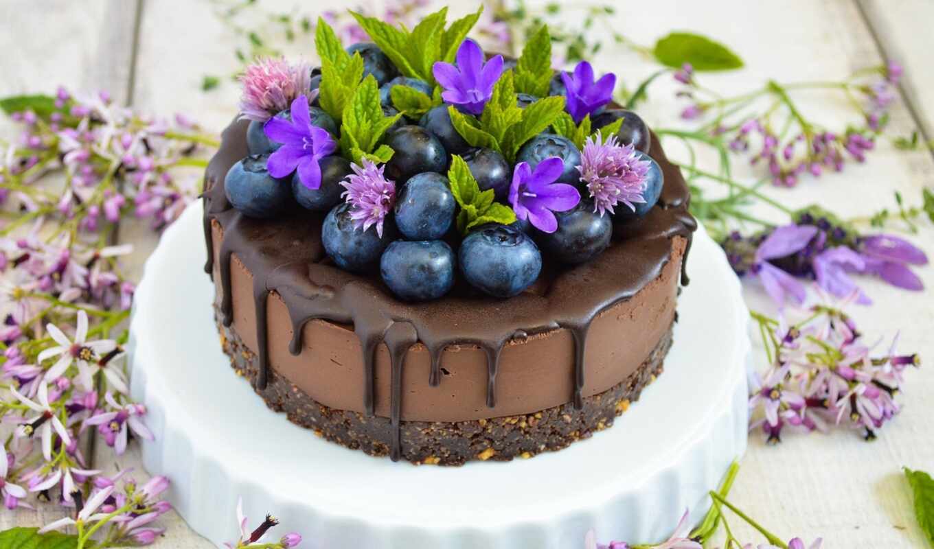 цветы, purple, chocolate, плод, десерт, торт, сладкое, ягода, черника