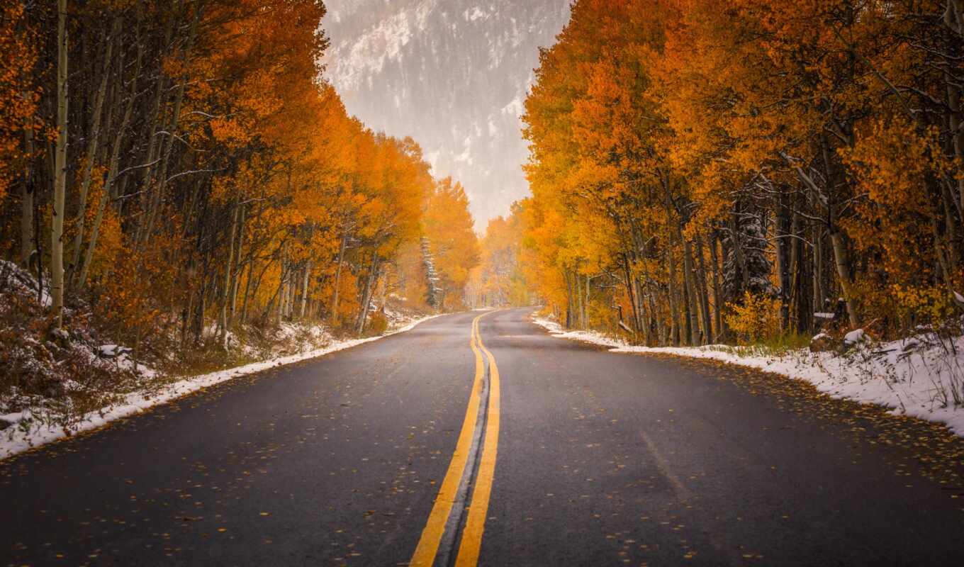 nature, road, USA, autumn, colorado, aspen