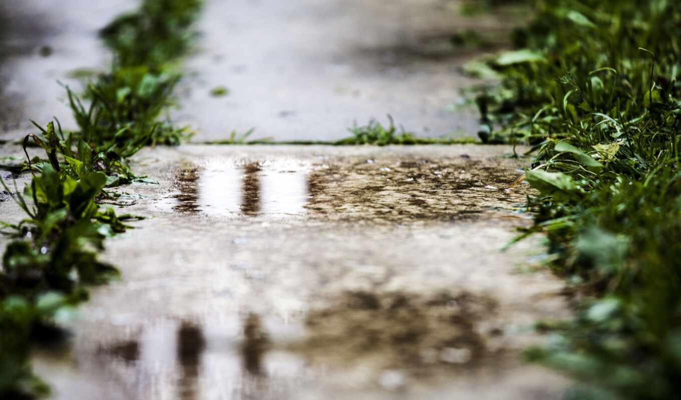 rain, macro, grass, field, puddle, trucks, depth, pavement, hdwallsource