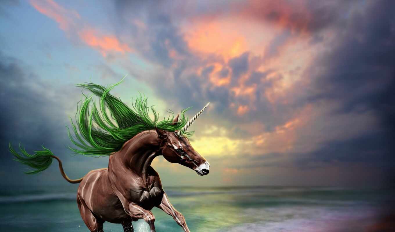 play, horse, sea, google, unicorn