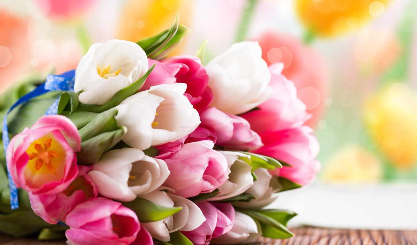 цветы, весна, тюльпан, funart