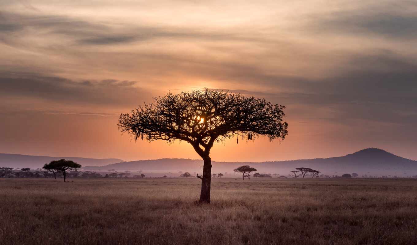 закат, африка