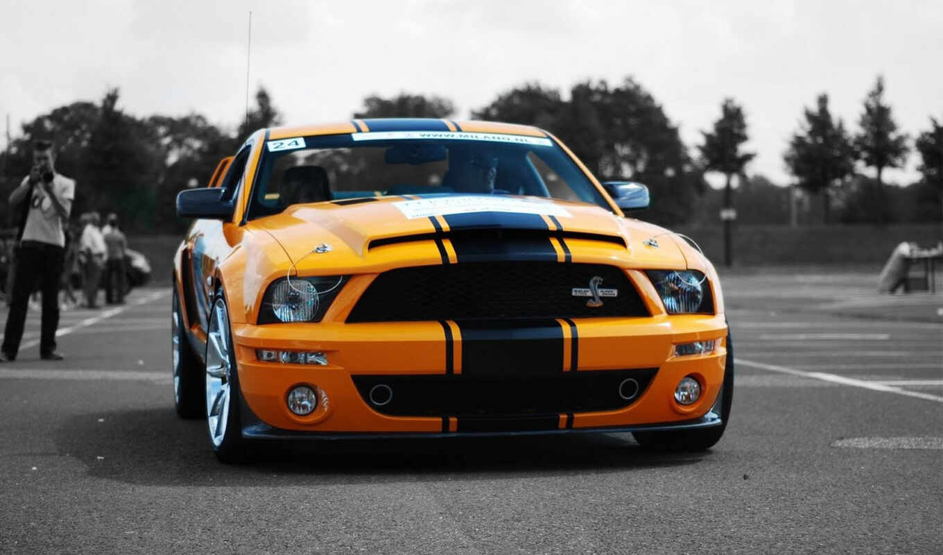 gt, super, ford, mustang, shelby, snake