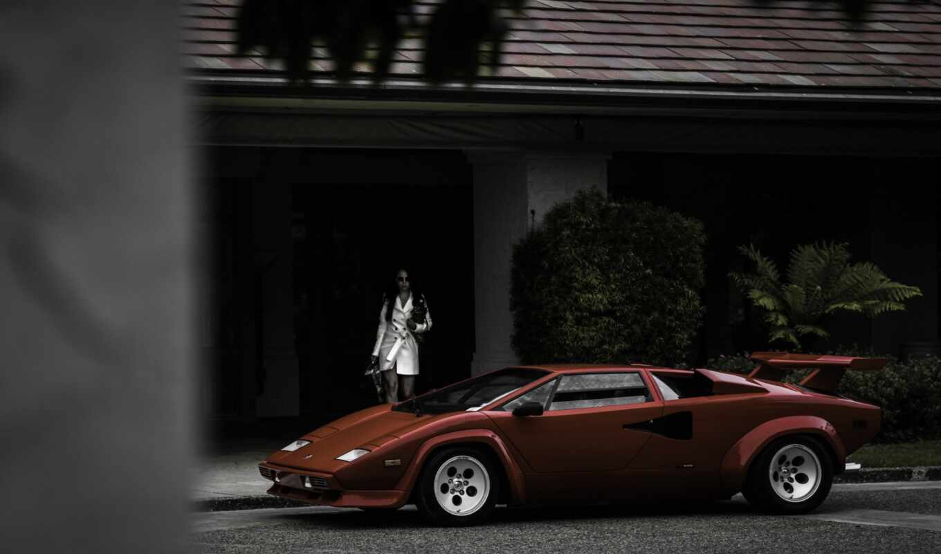 girl, house, picture, red, dog, lamborghini, counts
