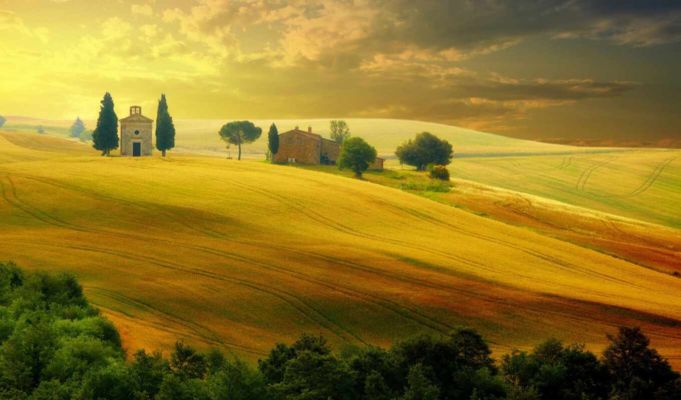 nature, summer, tree, sunset, field, landscape, autumn, hill, italy, tuscany, countryside