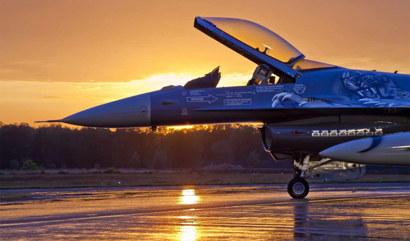 plane, sunset, aviation, air, falcon, simulation, ambassador, influenza