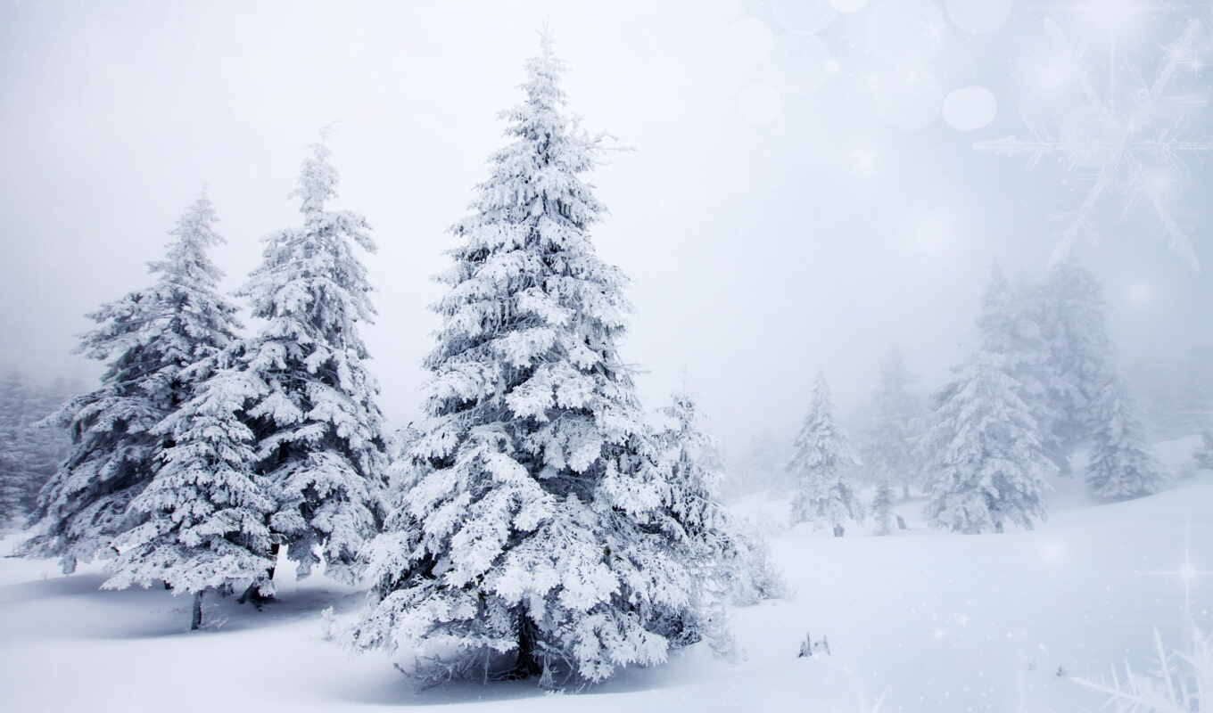 природа, широкоформатные, снег, winter, landscape, года, time, trees, елки