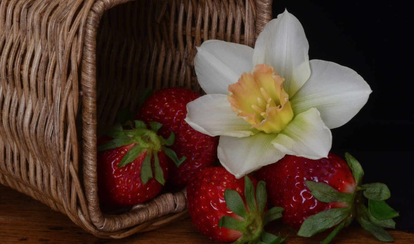 flowers, website, online, beautiful, strawberry, baskets, baskets, reproduction, drawings, paz