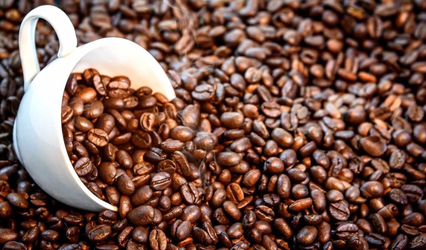 coffee, bean, kg, coffee, arabic, texture, district, seed, obzharka, sobstvennyi, zernovoi