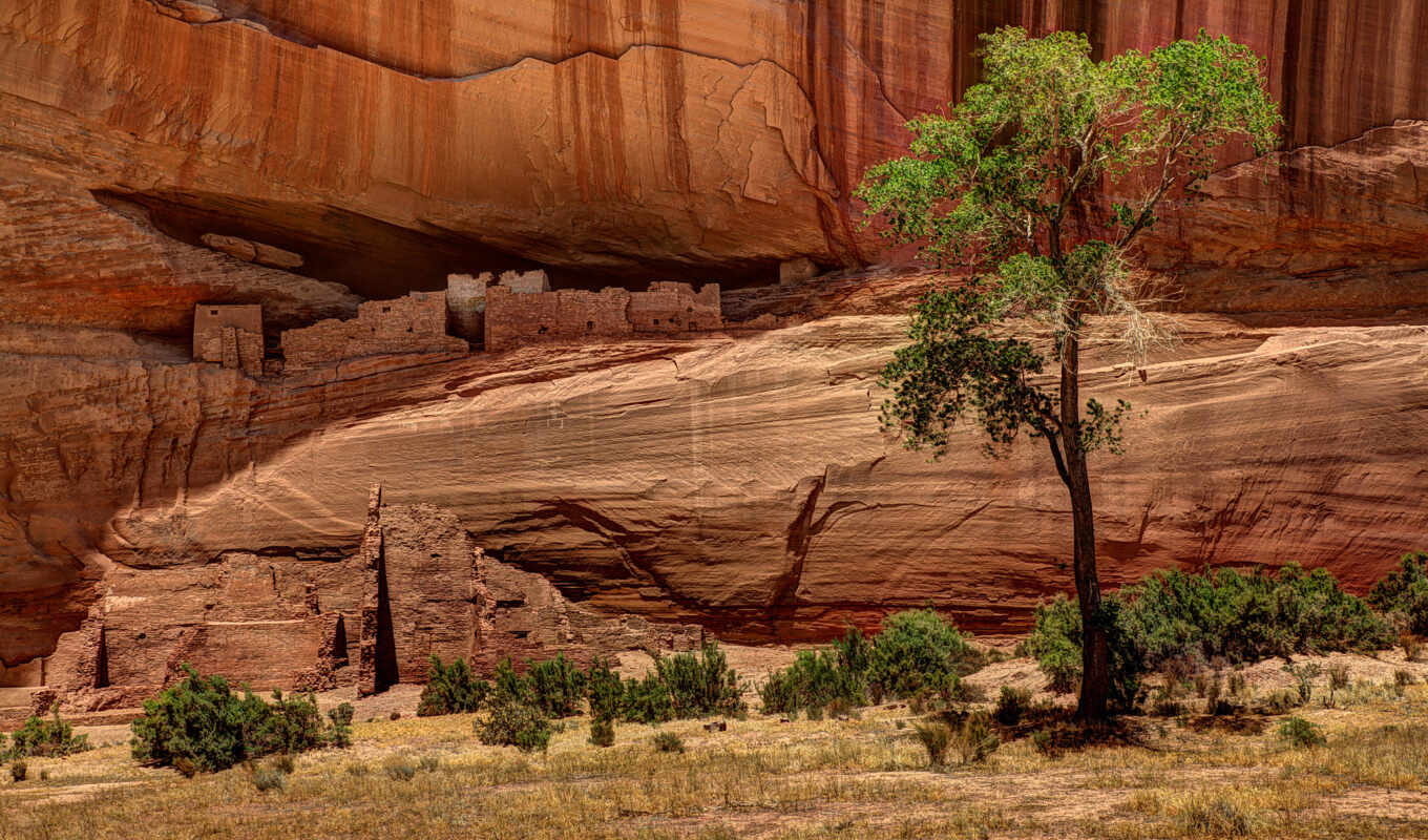 фон, дерево, usa, national, каньон, памятник, arizona, chelly, геология