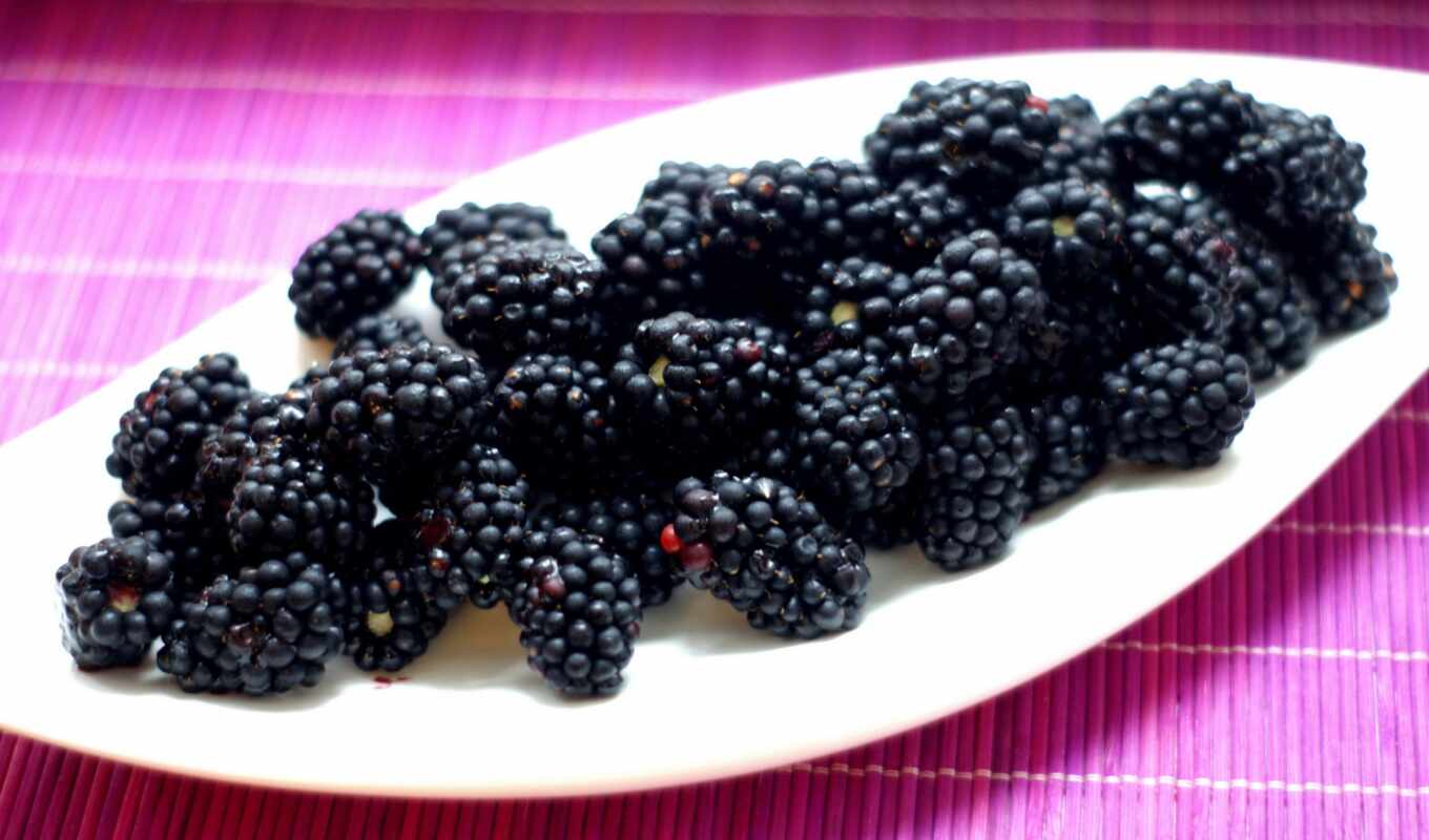blackberry, berry, risunkiezhevika