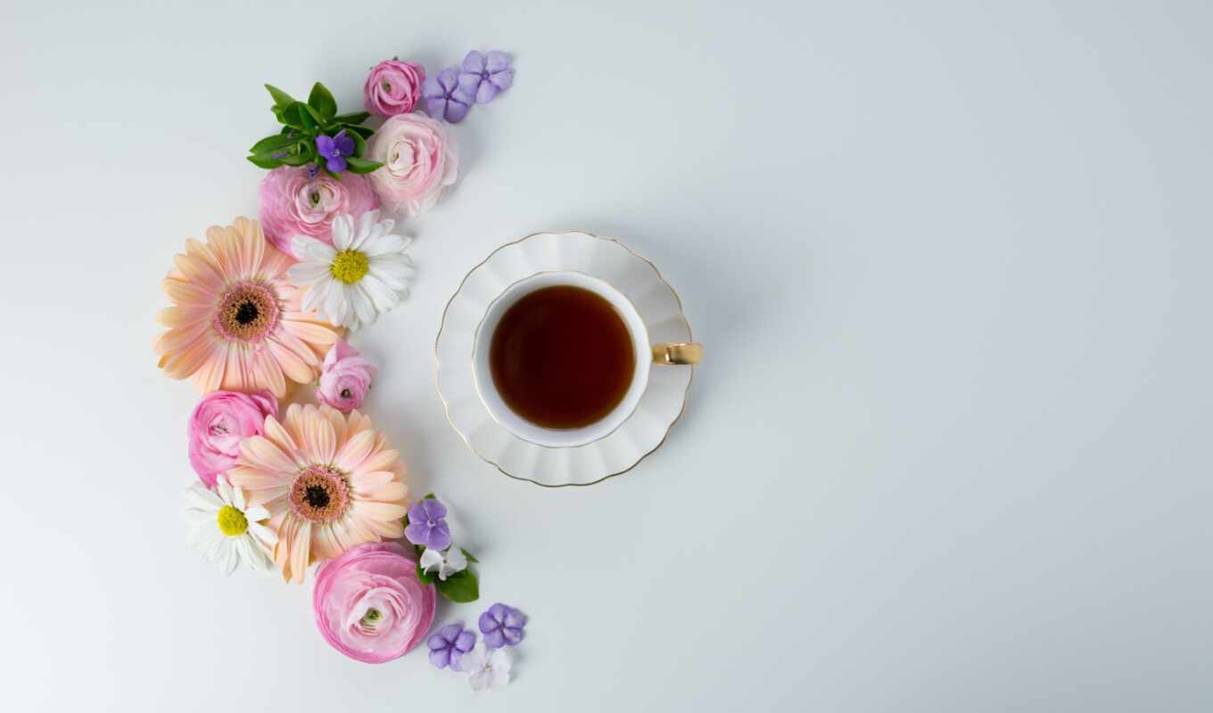 цветы, white, coffee, cup, чая