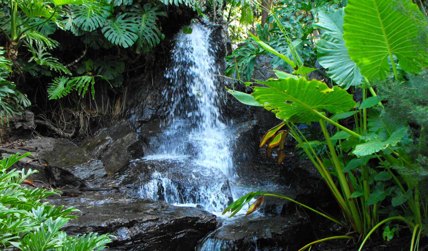 природа, free, widescreen, landscape, водопад, водопады, растительность