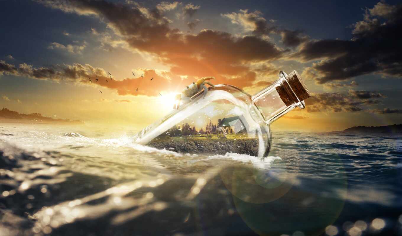 nature, online, sunset, sea, exclusive, price, human, india, bottle, low