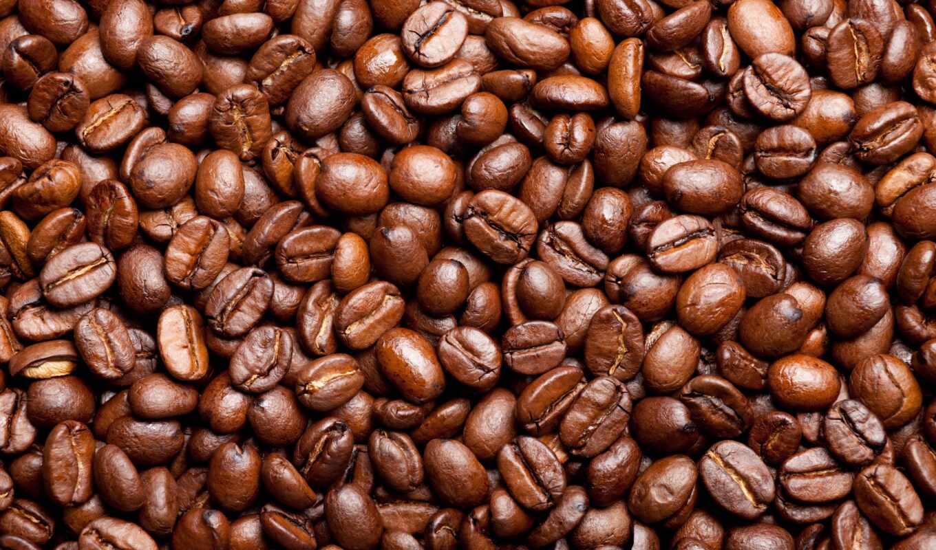 coffee, price, drink, seed, meal, photo wallpapers, fire, sabirellus