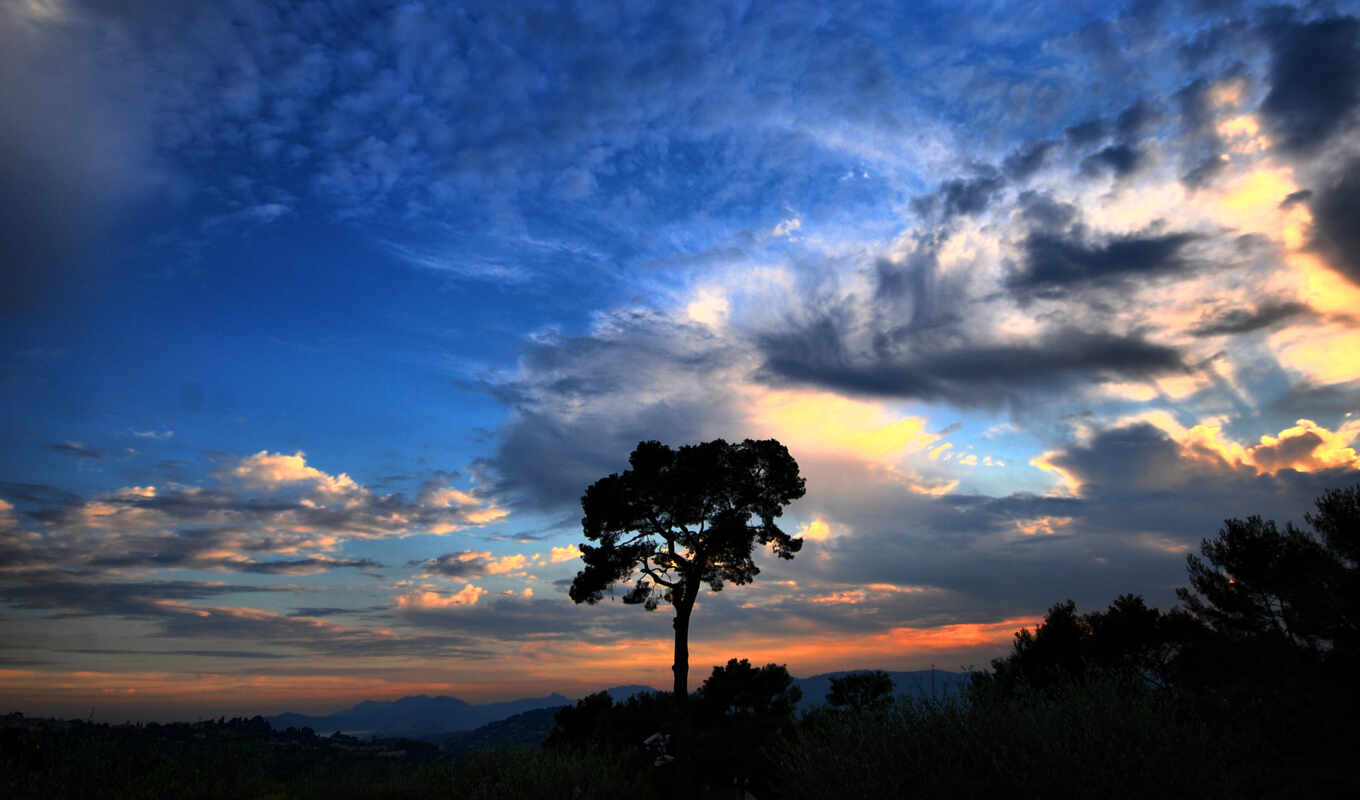 nature, sky, tree, national, geographic