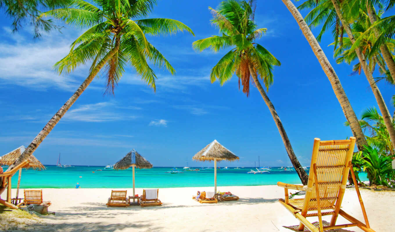 beach, umbrellas, sea, sand, palm trees, rest