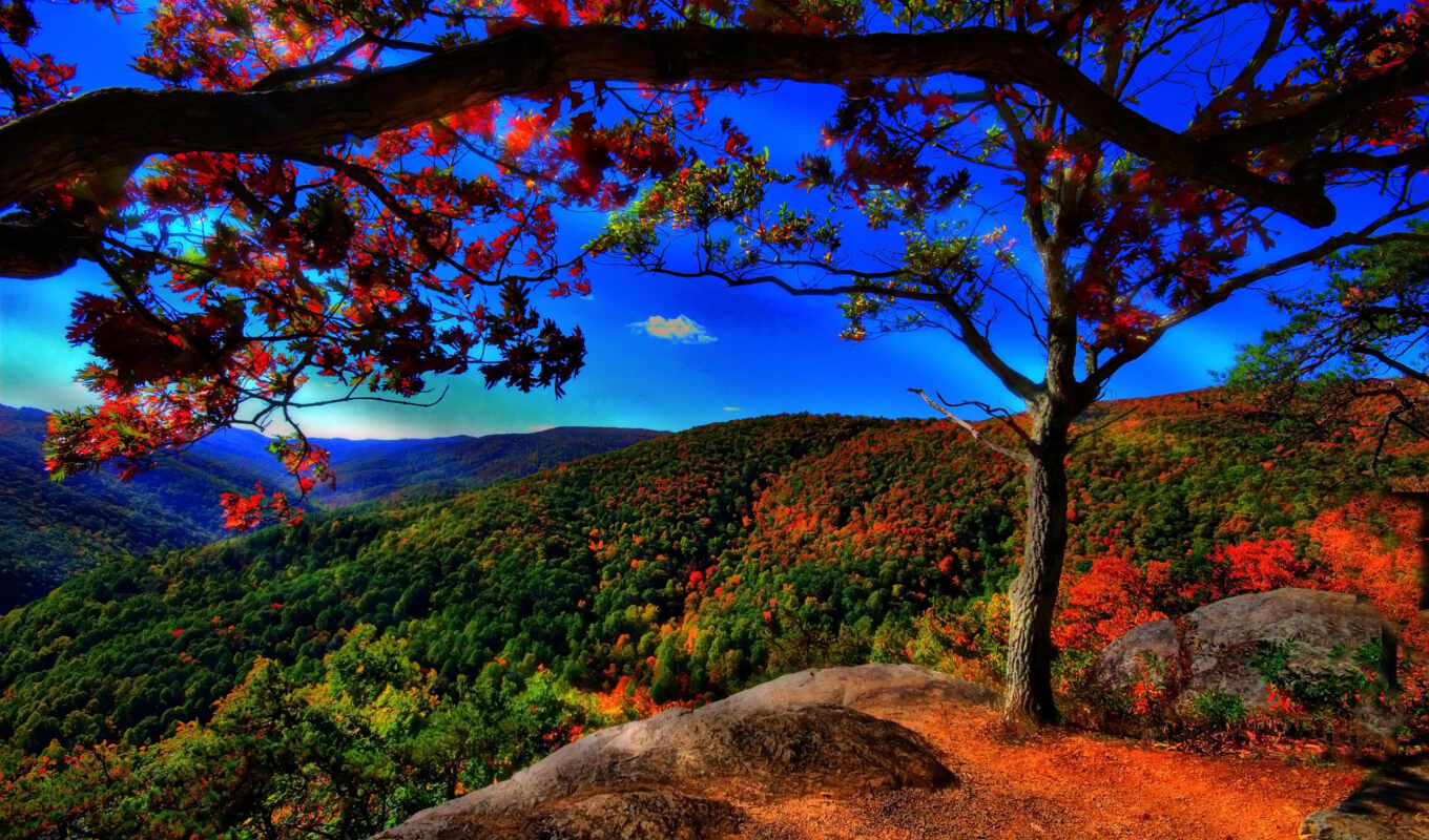 небо, совершенно, лес, landscape, осень, золотая, trees, синее, холмы, левитан