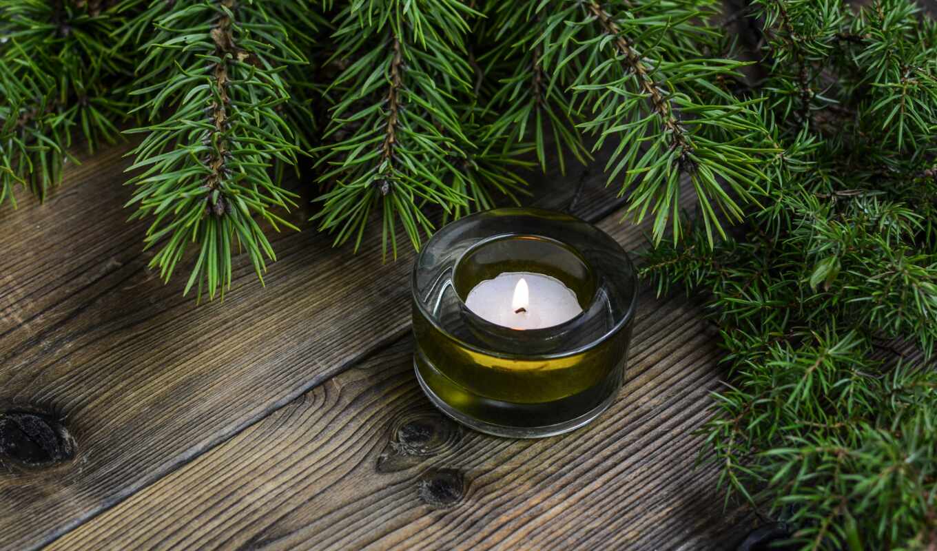 holiday, candle, fir
