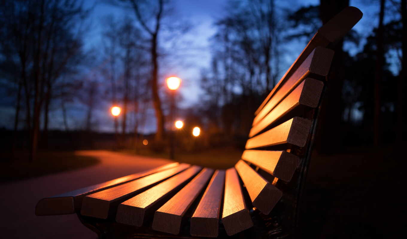 park, bench