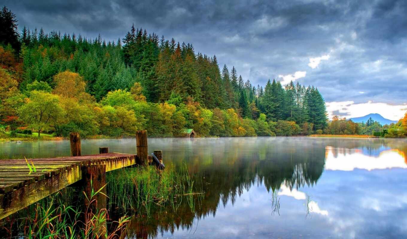 озеро, high, лес, landscape, пирс, trees, туман