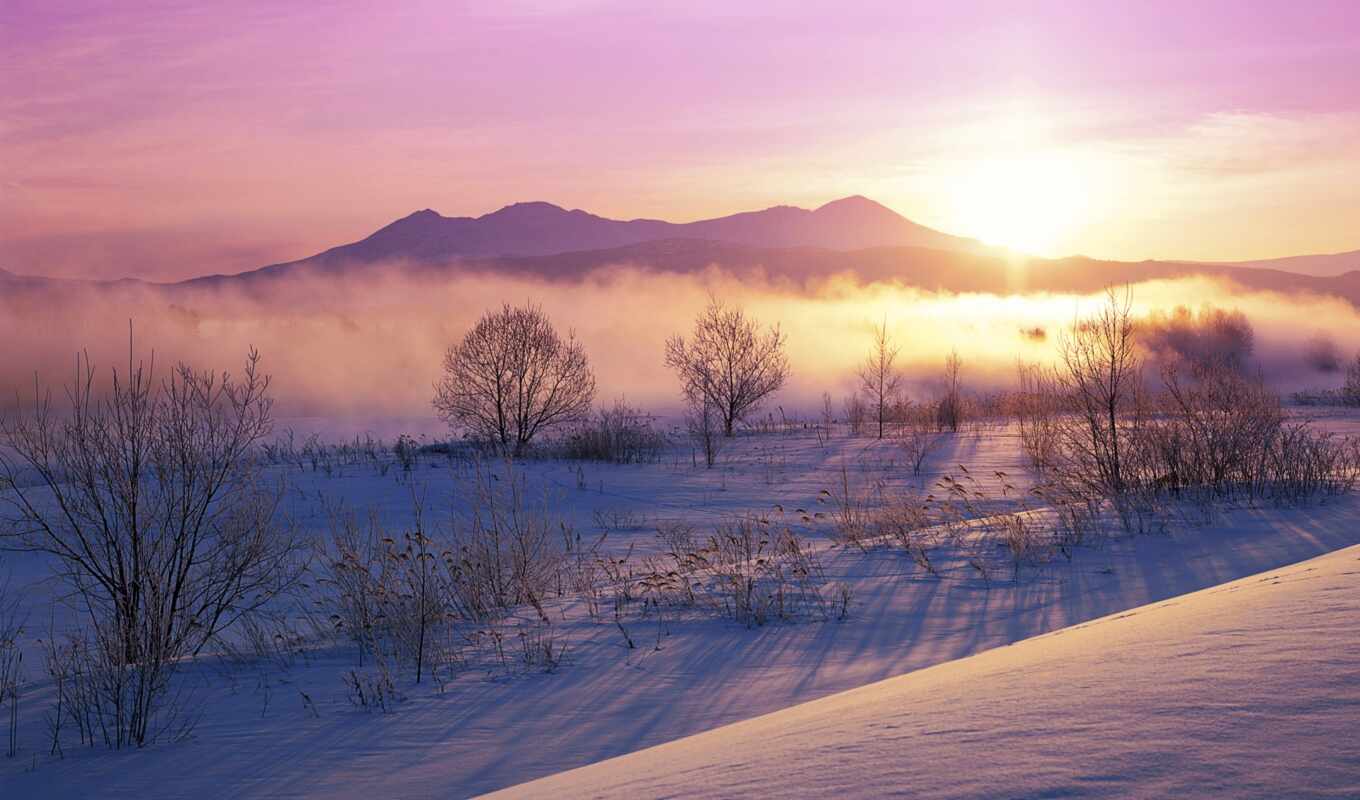 nature, sunset, sunrise, winter, forest, landscape, in winter