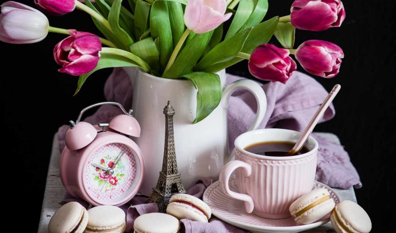 meal, watch, pictures, free, images, tulips, tulips, zoom, macaron