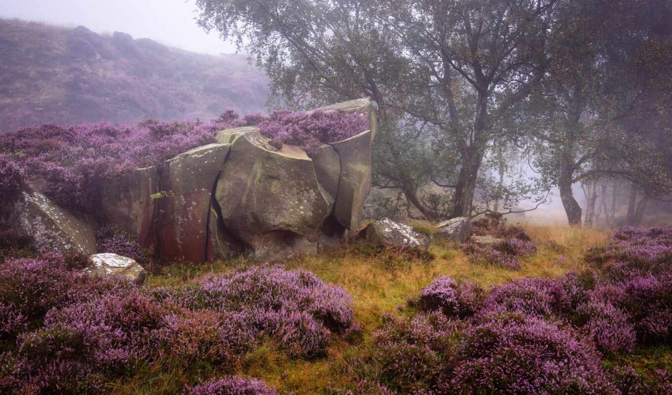 nature, stone, purple, England, tapety, park, peak, pulpit, district, anglia, national