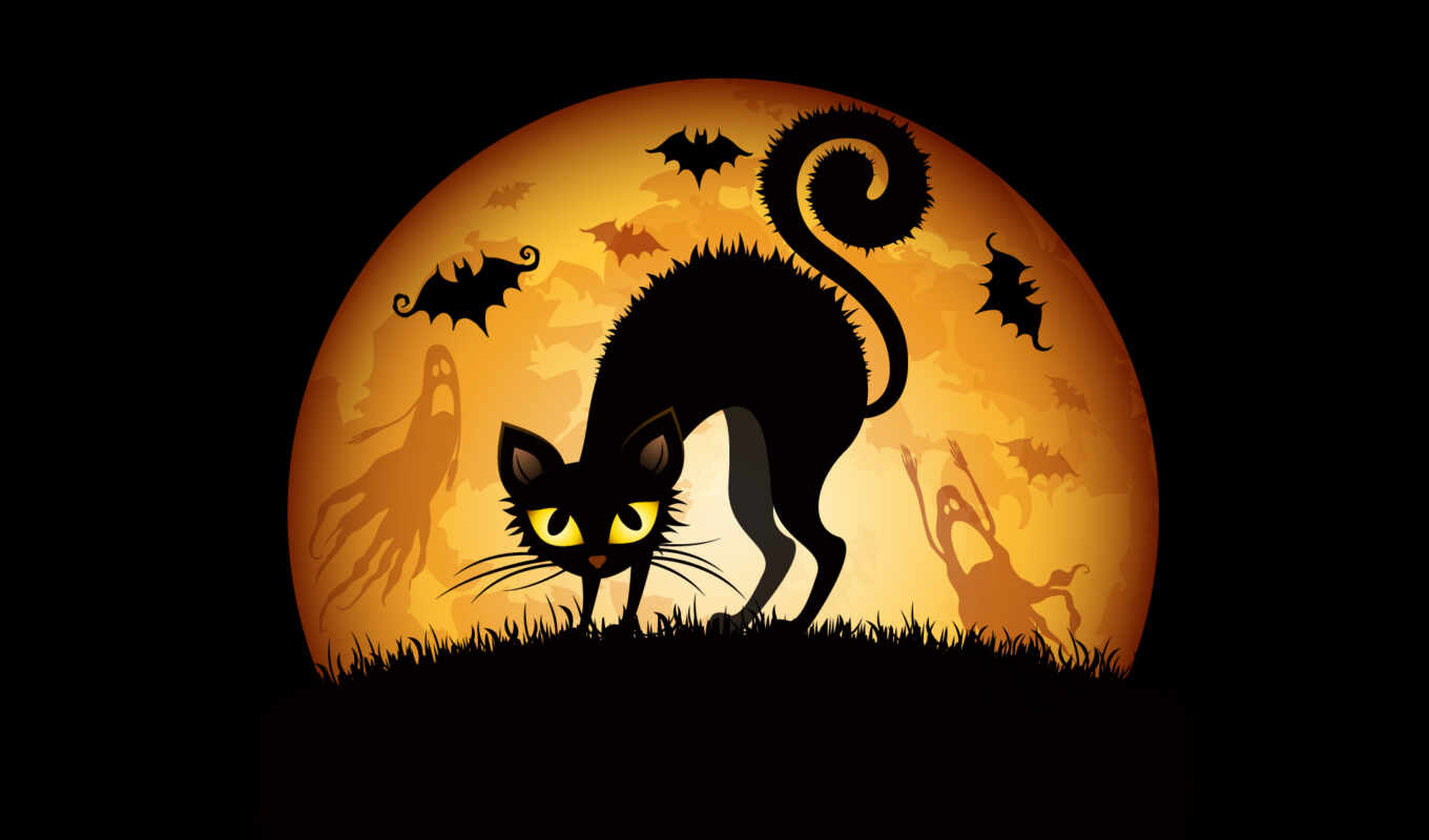picture, night, cat, cats, kitty, witch, halloween, zhivotnye, congratulations, halloween, halloween