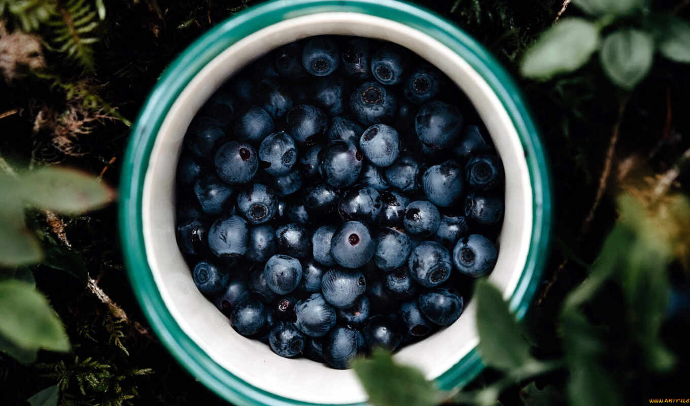 blueberries, ar-ndano
