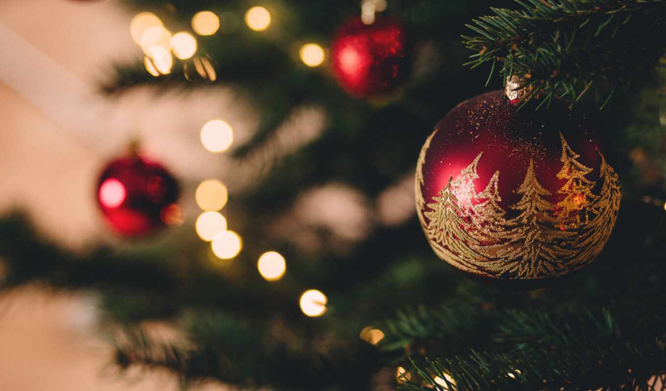 new, christmas, day, new year, Christmas tree
