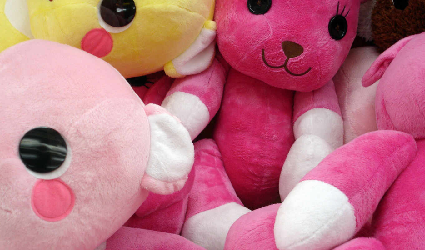 розовый, медведь, teddy
