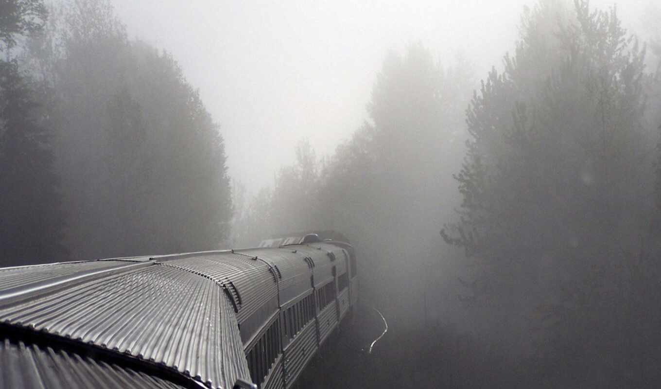 лес, поезд, туман, тумане, поезда