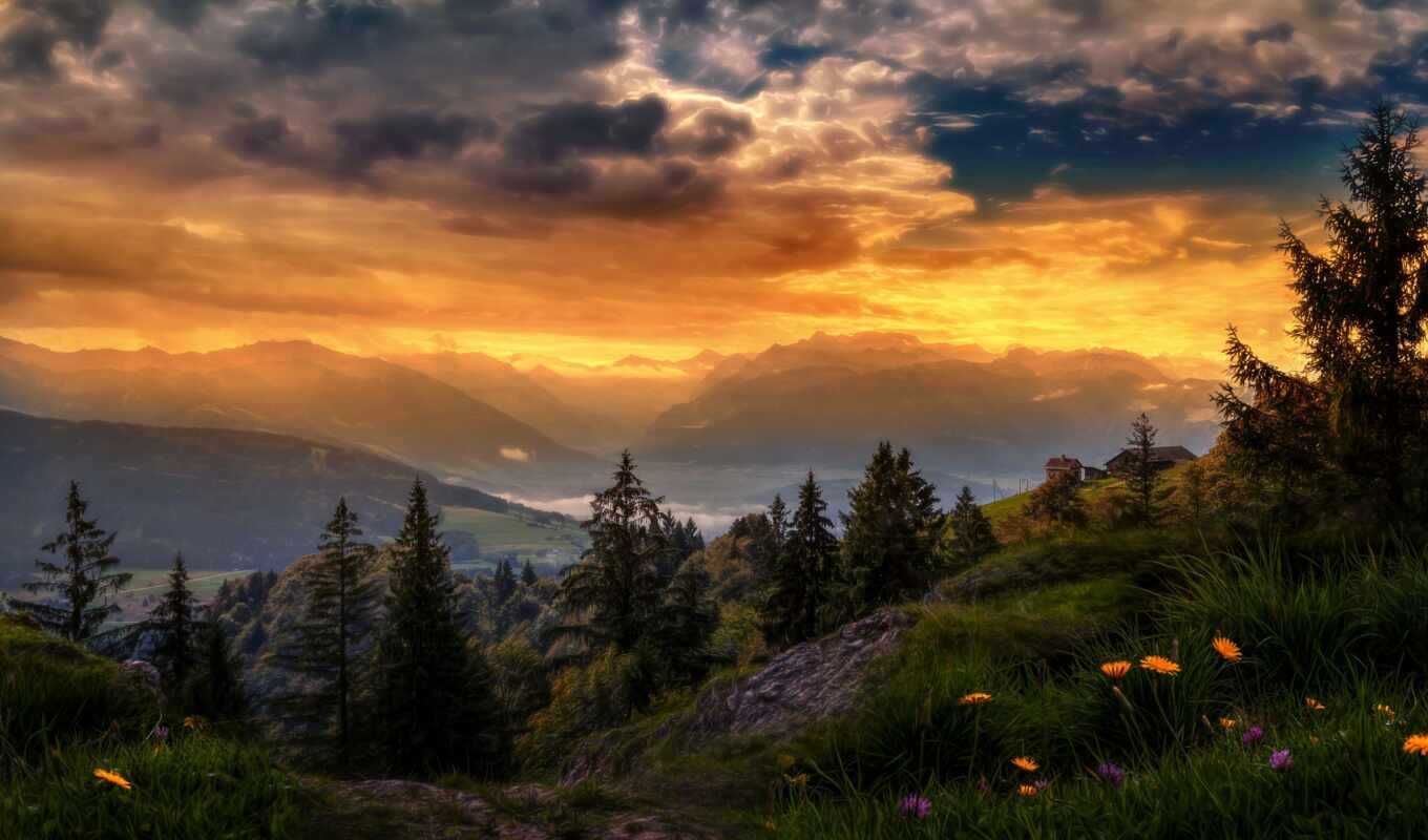 flowers, sunset, forest, mountain, hdr, because