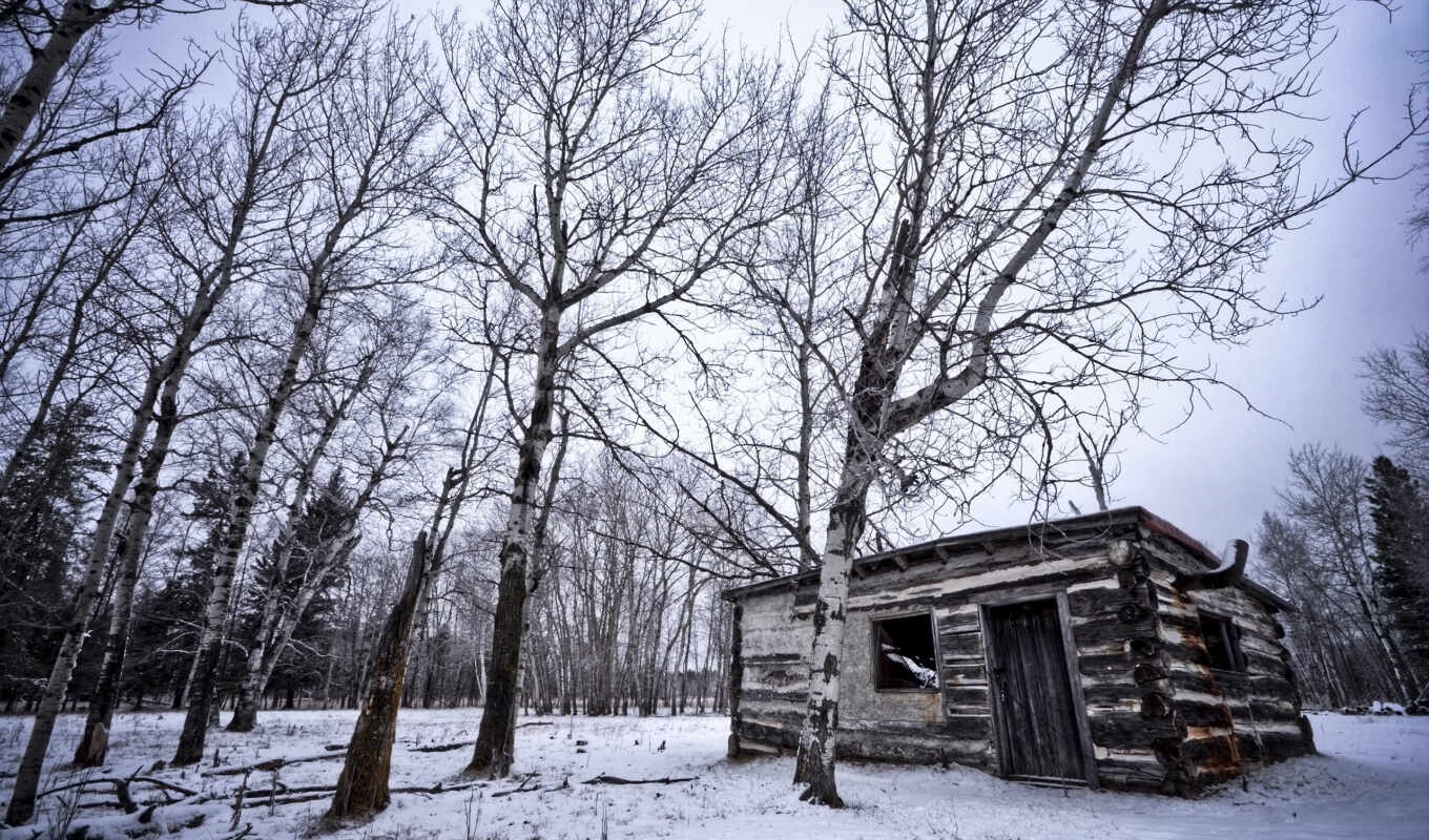 nature, landscapes-, fone, house, winter, forest, series, forest, nature, old, buildings