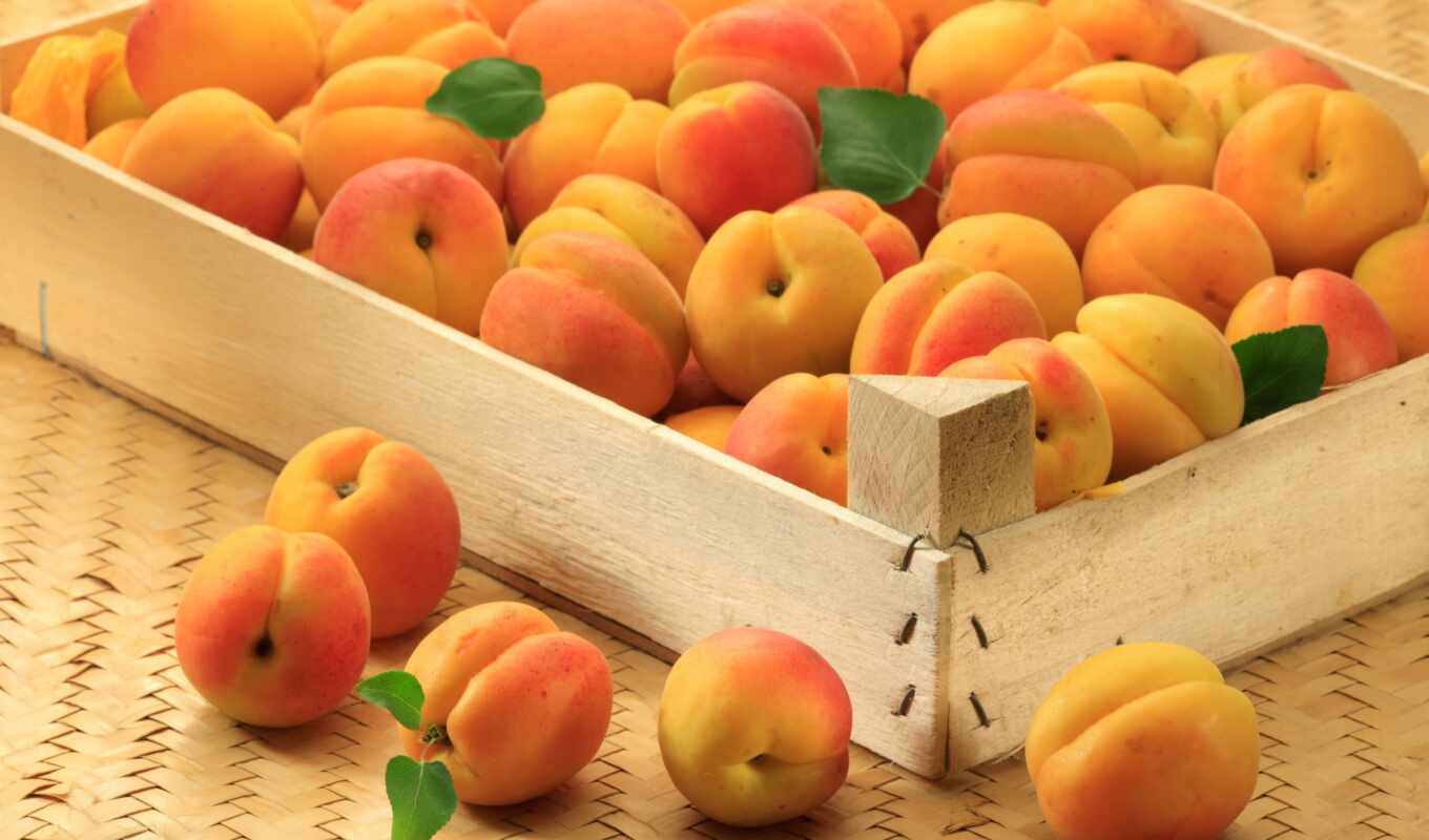 picture, moscow, box, peach, delivery, apricot
