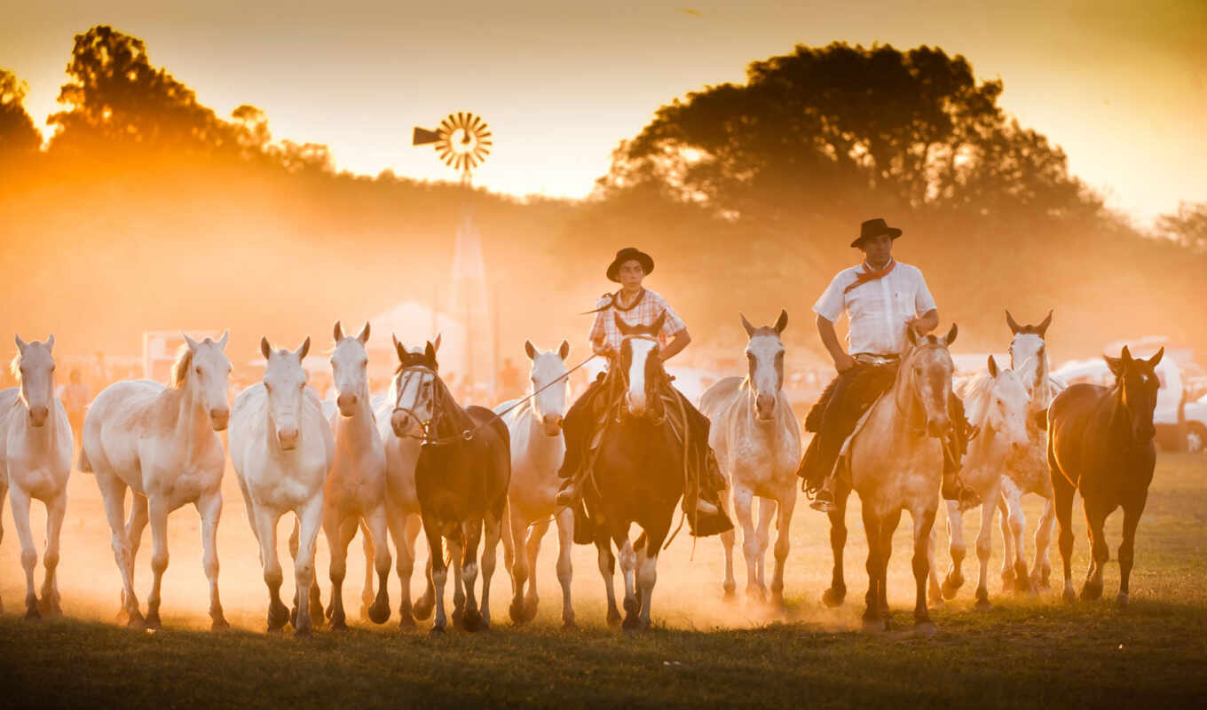 Argentina, cowboy, gaucho