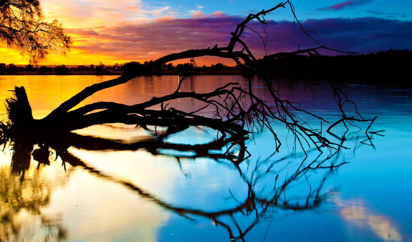 озеро, природа, desktop, дерево, закат, отражение, fallen