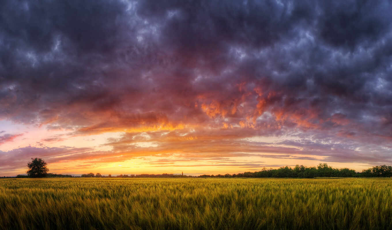 nature, landscapes-, you, grass, sunset, field, lord, cloud