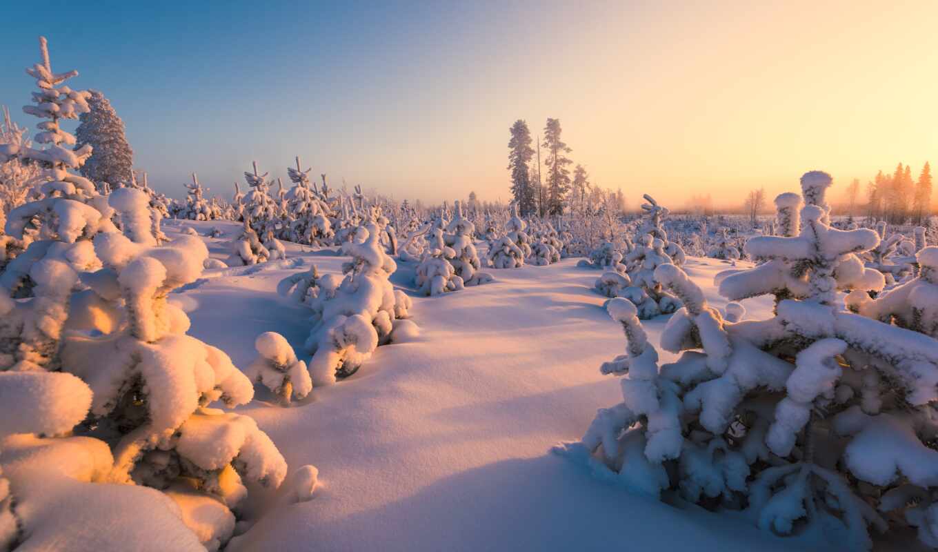 небо, дерево, снег, winter, лес, осень, финляндия, fore