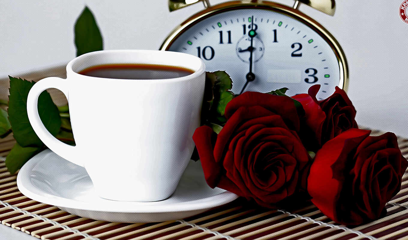 цветы, роза, coffee, тревога, красное, род, утро, cup, postcard