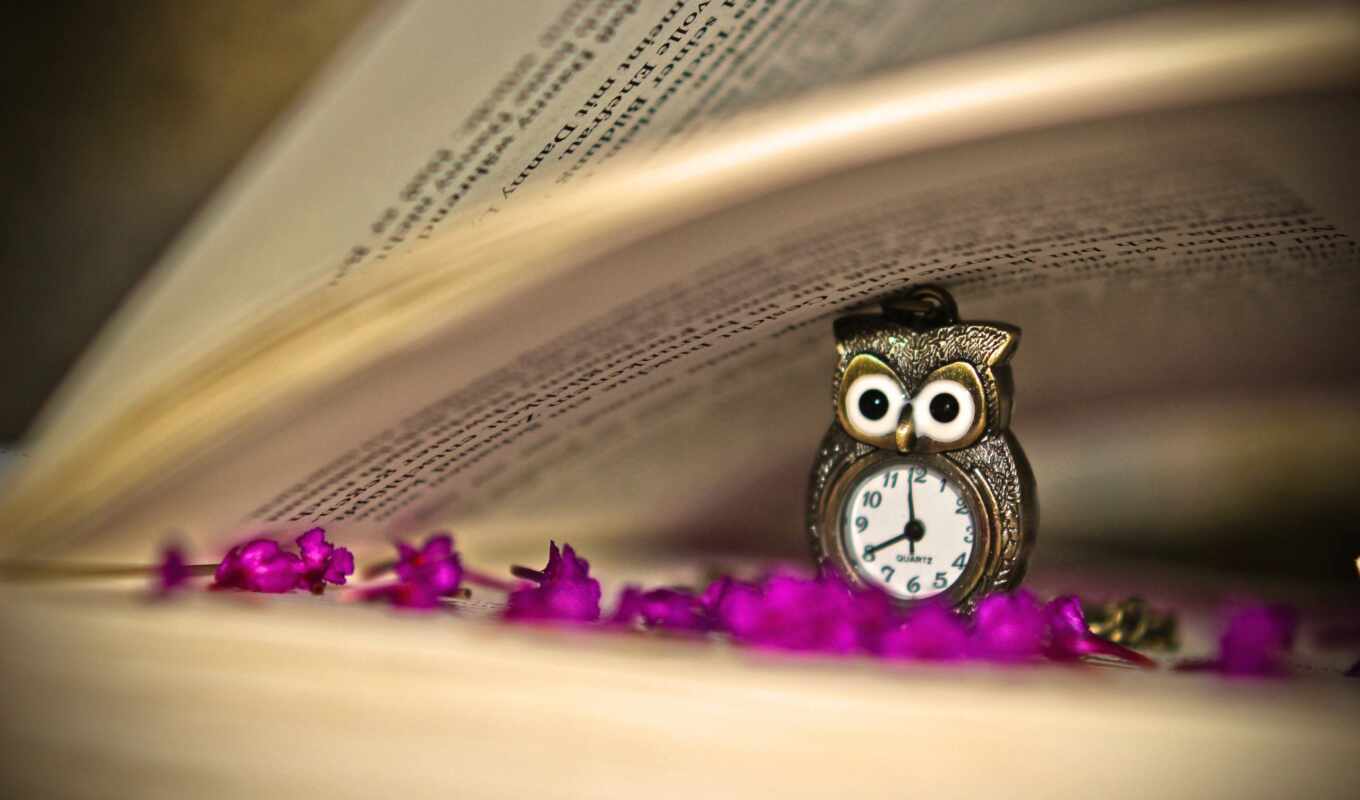 flowers, book, hour