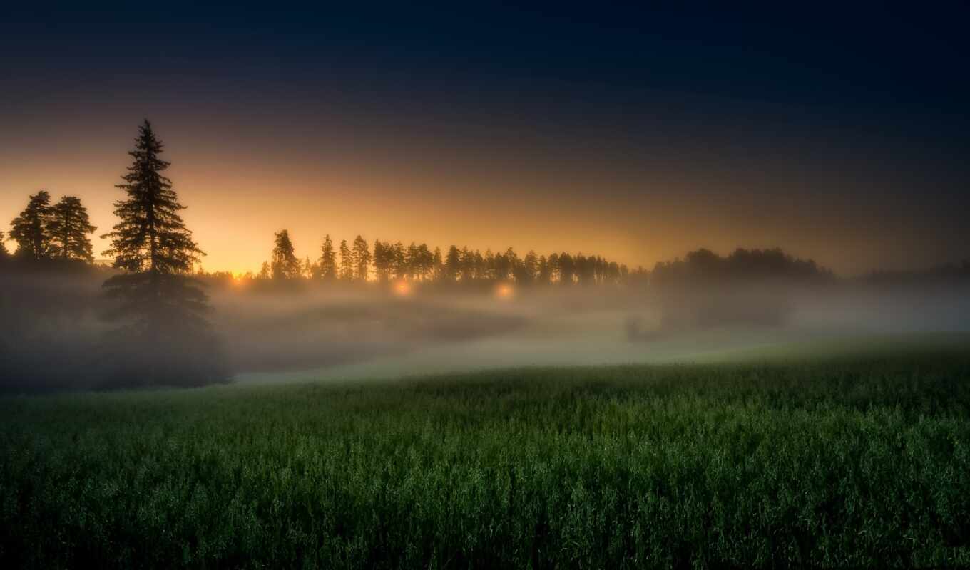 природа, поле, красивый, туман