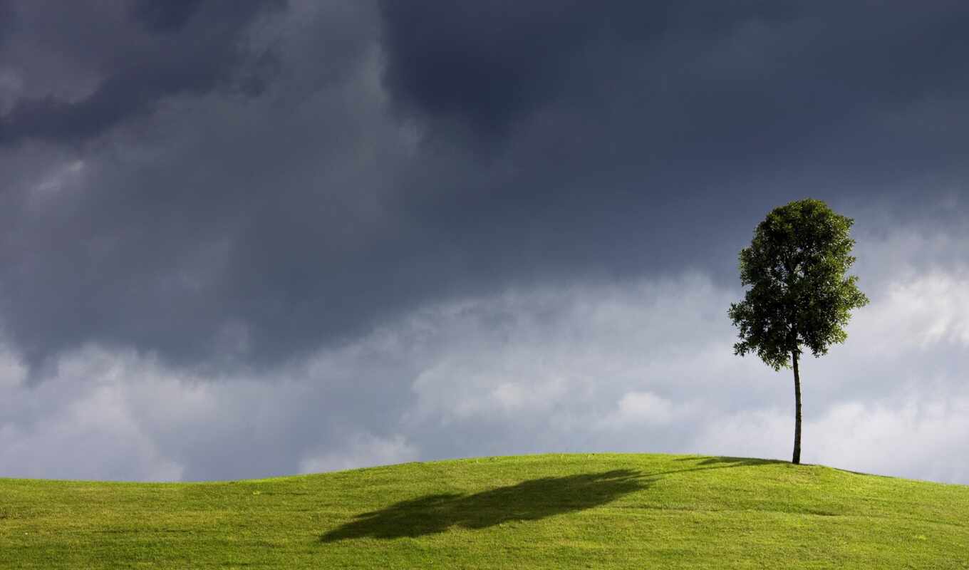 nature, tree, green, grass, field, landscape, cloud, lonely, leaf