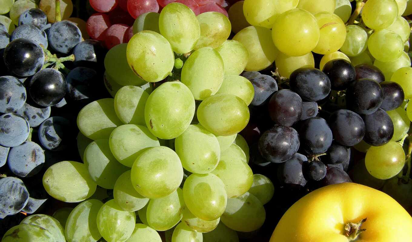 pantalla, плод, real, виноград, todo, fruta, uva, allsorts, цвет, fru, druivensoorten